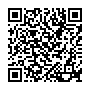 定国王府沉寂这么多年正好合了宫里那位的心意二维码生成