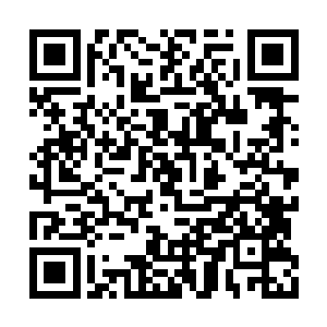 定定看着对面的那扇镶嵌在影壁上的黑色雕花门二维码生成