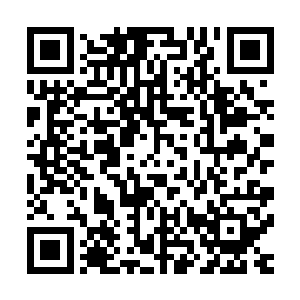 定海神珠所提供的记忆中虽然有关于海中妖兽种类的详细记载二维码生成
