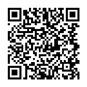 定玄王目光落在夜瞳手中那把长达两米的暗色长刀上二维码生成