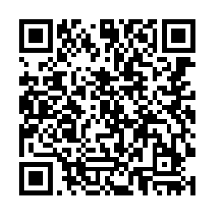 定王妃生下一对龙凤胎的消息自然所有人都是知道的二维码生成