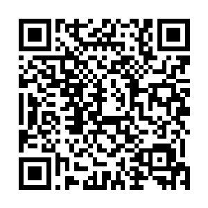 定王府所得到的不只是西陵和大楚的大片土地与两座都城二维码生成