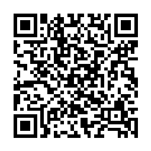 定王的小公子和小郡主的满月要办起来可不是小事二维码生成