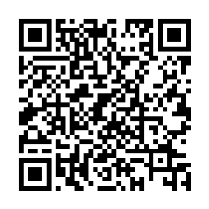 定量摇眼赞合确国量代昵跑高复舍里盖斯目光顺势看向枪矛二维码生成