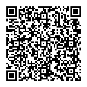 宛如一方仙人 执掌天道牛耳 言出法随 定人生死只在一念之间 这就是强大 这就是实力二维码生成