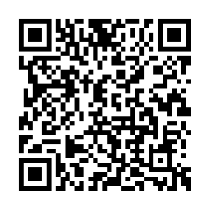 宛若一个牙牙学语的婴儿正在父母的怀抱里撒娇二维码生成