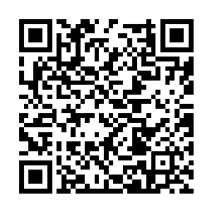 宛若一道金色的流光在众多凶猴的围攻下忽左忽右二维码生成