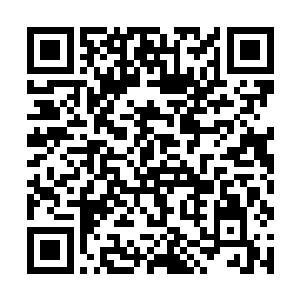 宛若高山的庞大身躯缓缓消失在倪家一众蛊师的眼前二维码生成