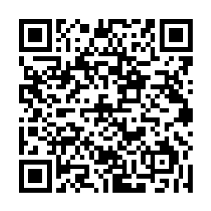 宝宝和贝贝看着眼前一脸激动地看着他们的哥哥姐姐们二维码生成
