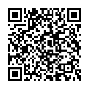 宝宝心中仅存的那丝怒意瞬间就消失的无影无踪二维码生成