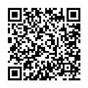 宝宝花了一千万紫晶币……虽然只是左口袋换右口袋转一下二维码生成