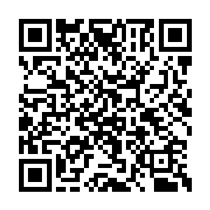 宝库中的宝物由本族和争夺龙宫失败的一族共分二维码生成