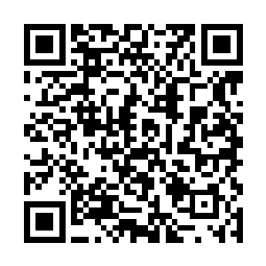 宝松道人不得不分出宝贵的阴气资源在后方加强防御二维码生成