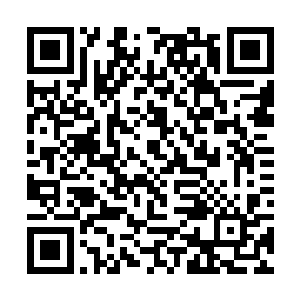 宝珠却笑咯咯的一把抱住他的脖子在他脸上啃了一口二维码生成