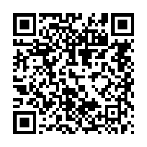 宝船一个时辰总能飞出从仙农洞府到这个迷雾森林这个距离的二维码生成