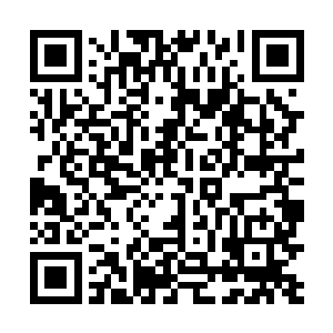 宝莲站在一旁有想将苗毅脑袋给摁进米饭里闷死的冲动二维码生成