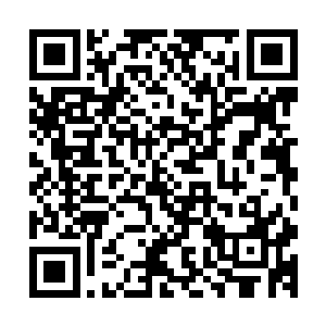 宝镜一下子把走进校长办公室的年家母子当成了重点怀疑对象二维码生成