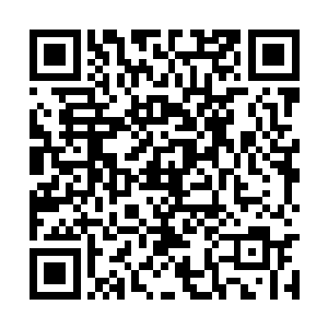 宝镜以为金希珠等高丽人应该被永远困在了古林里二维码生成