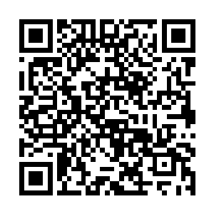 宝镜大概只有把那块雍正粉彩大盘送去香港拍卖筹钱二维码生成