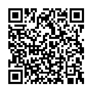 实则她的内心已然有无数只神兽在欢快地蹦跶着二维码生成