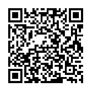 实力之坚挺已经足以和其他三位提名者平起平坐了二维码生成