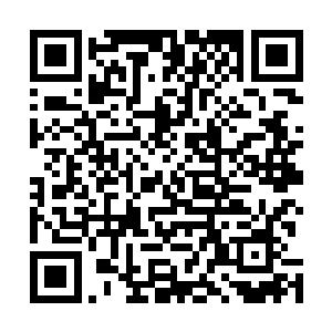 实力之强根本就不是天月皇朝这等规模的势力所能比拟的二维码生成