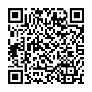 实力也有强有弱的身影也跟那雕像一同纵身而起二维码生成