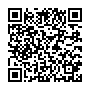 实力只有巅峰灵兽王到半步至尊灵兽层次的实力的话二维码生成