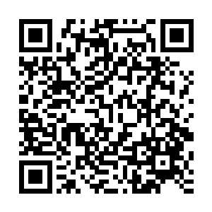 实力可不是屠洪这样的刚刚突破到九阶大剑师的人能够相比的二维码生成