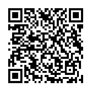 实力和自己相差无几甚至高出自己一筹的老家伙毫无办法二维码生成