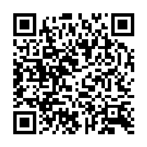 实力完全无法跟楚旬当初遇到的那些天位级别的虚相比二维码生成