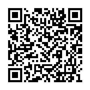 实力最强的项梁在历经彭城一战和薛县一战之后二维码生成