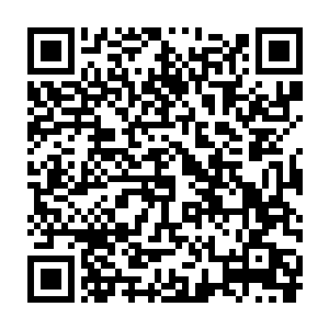 实力的悬殊已经容不得他再考虑放弃任务可能会损失杀手积分的问题了二维码生成