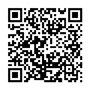 实力自然不是这个小小的二阶法圣能够抵挡得了的二维码生成