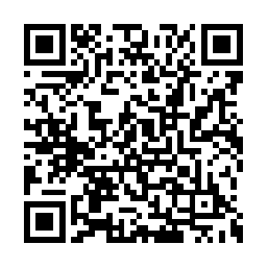 实在不忍心告诉风苍梧真相再打击这个家伙一次二维码生成