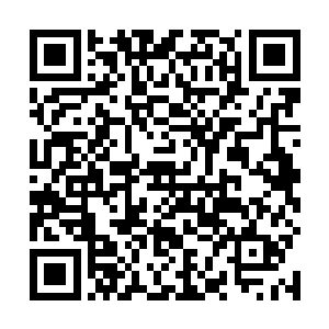 实在不行……咱们说不定还有机会去那死灵位面中逛逛二维码生成