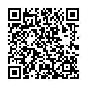 实在不行咱们可以准备好油锯但是不把树锯掉啊二维码生成