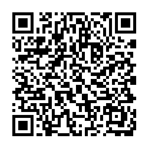 实在不要太武断与太肯定地说东泽和明郁没有伤小奶娃的动机与理由二维码生成