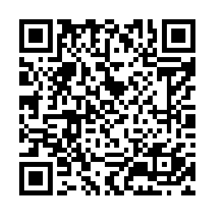 实在只是因为不想埋没这等斗将在后路大营转运粮草二维码生成