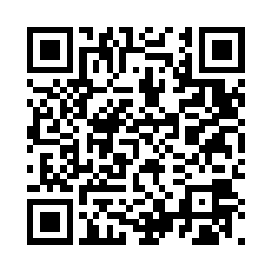 实在因而折损了太多太多归真阁有生力量……二维码生成