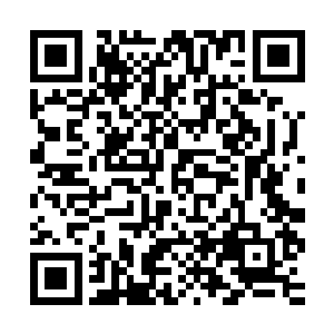 实在很想两知道他到底是怎么让一个不会说话的蝎子去报平安的二维码生成