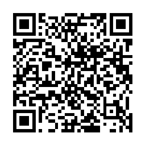 实在很难在和半步神级的强者的战斗当中起到什么作用的二维码生成