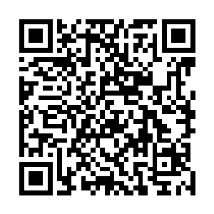 实在是不值一提的……没看到柳贤赫精研跆拳道这么多年二维码生成