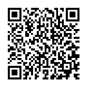 实在是不比邀请一位半元素化实力的巫师担当名誉教授来得少二维码生成