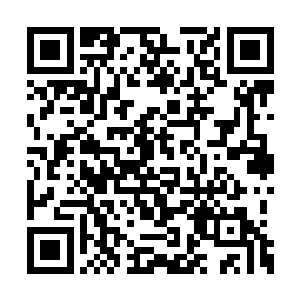 实在是他真的没有预料到无极宗的胜利如此容易二维码生成