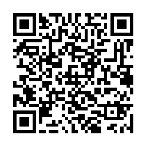 实在是他脑海里的那女子的身材和莫咏欣太符合了二维码生成