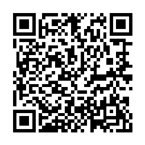 实在是倒了八辈子血霉……这一路跟着凌大公子二维码生成