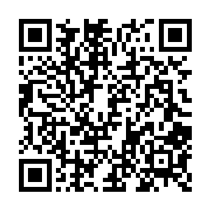 实在是因为紫灵藤的韧性而不希望火刃烧毁了它二维码生成