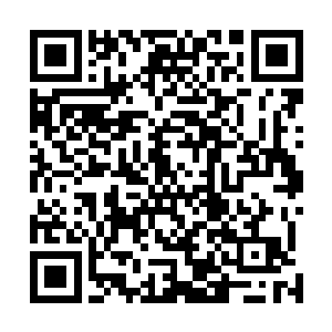 实在是太让人惊讶了――你再看看廊道里等着的那群学生二维码生成