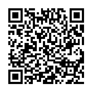 实在是提不起兴趣去跟这些修为最强才不过人神境的人计较二维码生成